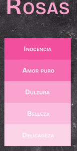 Colores Rosas en Branding